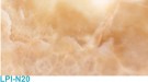 Naturel LPI-N20