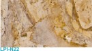 Naturel LPI-N22