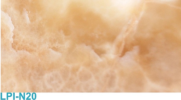 Naturel LPI-N20