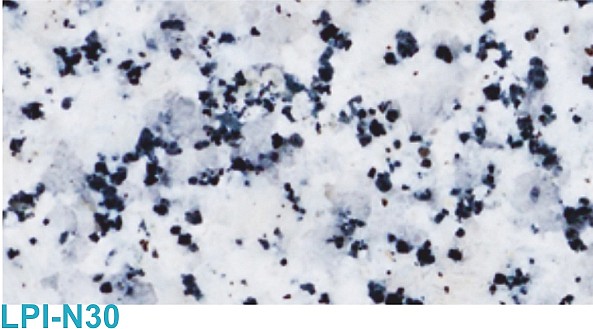 Naturel LPI-N30